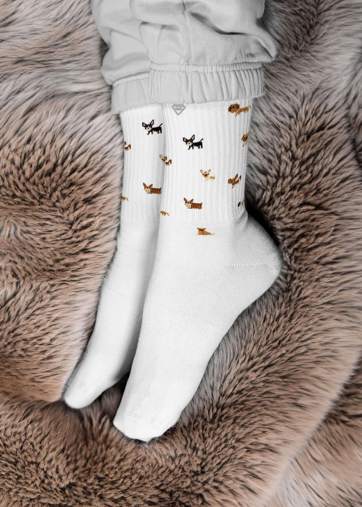 JCLAY - CHAUSSETTES "DOGGY"