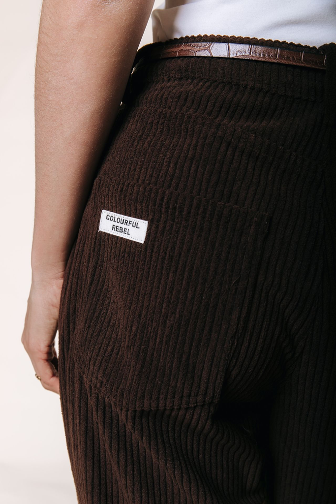 COLOURFUL REBEL - PANTALON "GAIAS" EN VELOUR MARRON