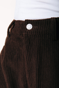 COLOURFUL REBEL - PANTALON "GAIAS" EN VELOUR MARRON
