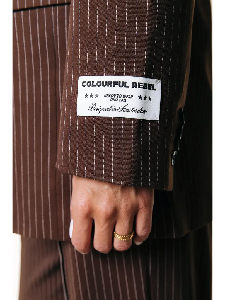 COLOURFUL REBEL - BLAZER « JESRA » À RAYURES MARRONS
