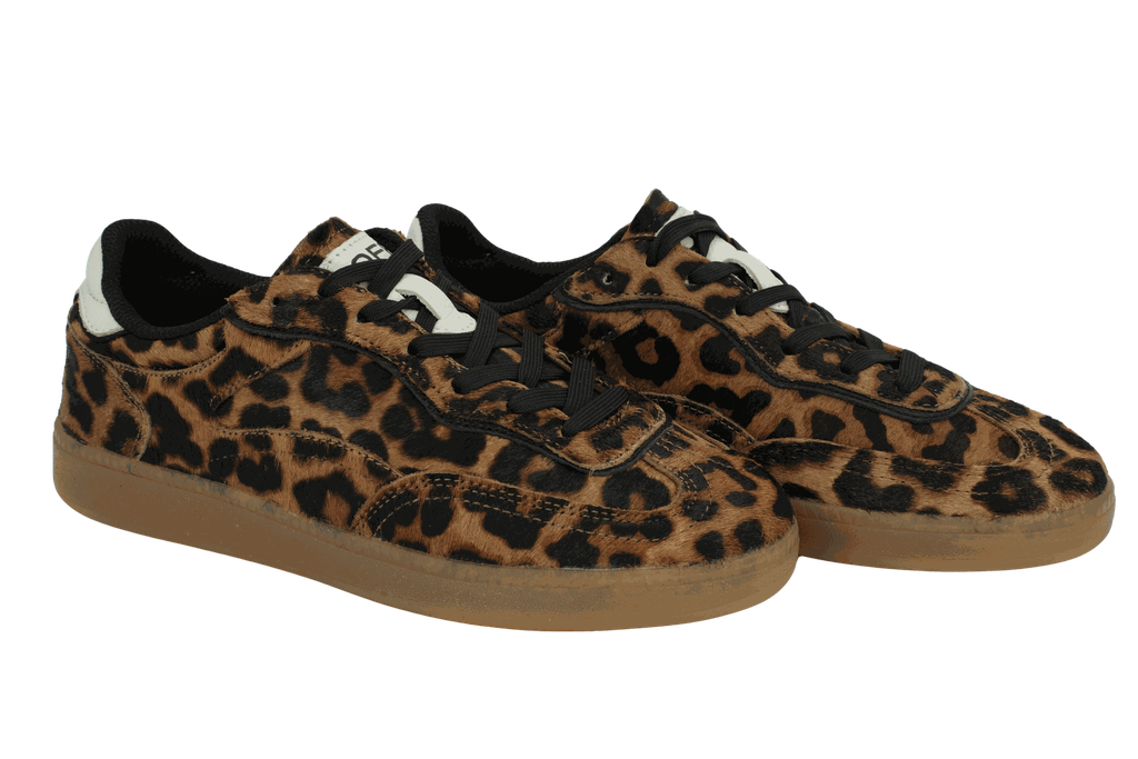 HOFF - BASKETS "ALLEY" LÉOPARDS