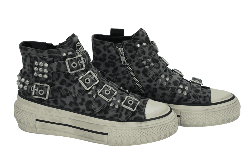 ASH - BASKET MID "RAINBOW" ANTHRACITE