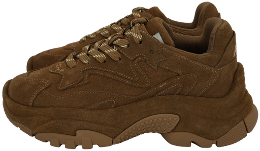 ASH - "ADDICT" BRUINE SUÈDE SNEAKER
