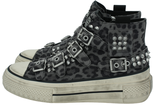 ASH - BASKET MID "RAINBOW" ANTHRACITE